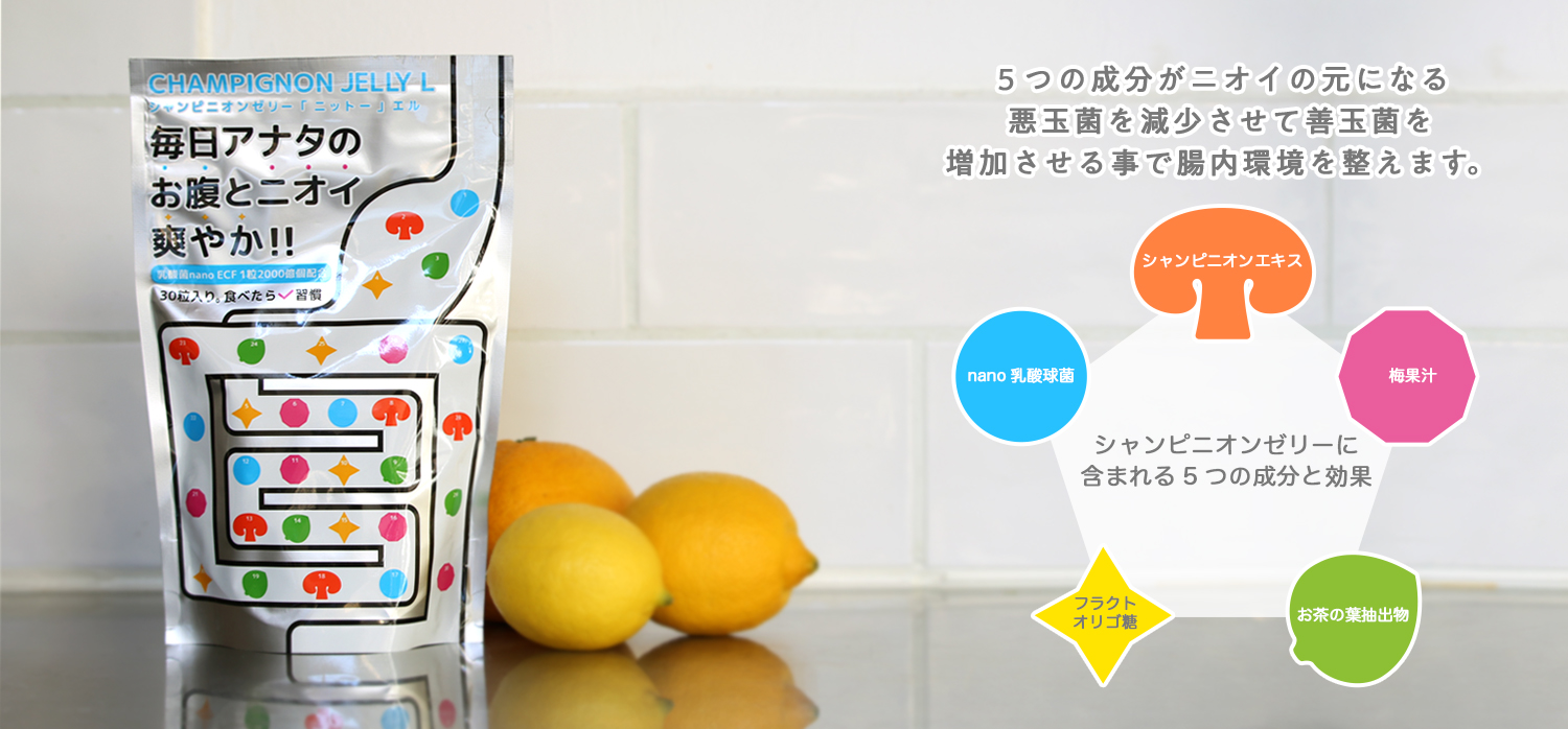 シャンピニオンゼリー「ニットー」エル